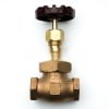 STERIS P910006-319 Globe Valve 3/4
