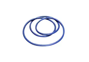 GETINGE 579002810 Door Seal - 11048