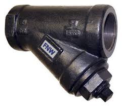 STERIS P764338-250 Strainer 1/2