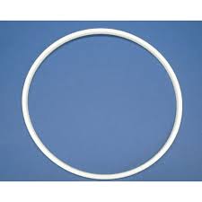 STERIS P074374-091-ALT Door Gasket 11