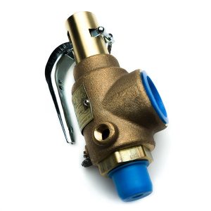 STERIS P077053-091 Safety Valve 1/2