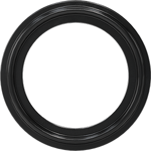 WASHER SOLUTIONS WS6295 Fluoroelastomer Gasket 1-1/2