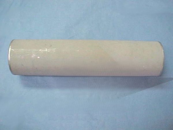 STERIS P760265-871 Filter Element 10" - 9840