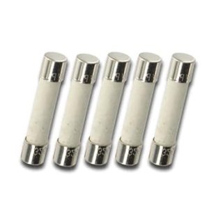 WASHER SOLUTIONS WS12259 Fuse Time Delay Ceramic 10A 250V (Pack of 5) - 12259
