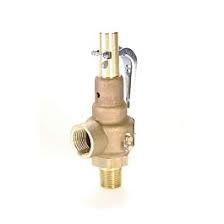 STERIS P084342-001 Safety Valve 3/4