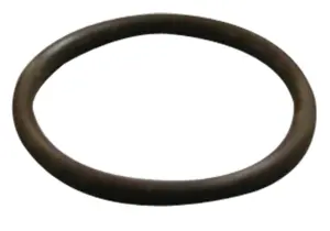 STERIS P117956-044 Viton O-Ring 7/8