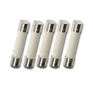WASHER SOLUTIONS WS12443 Fuse 10A 250V (Pack of 5) - 12443
